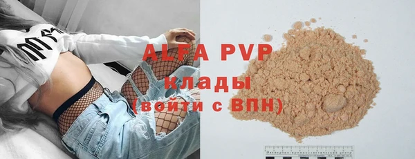 стаф Аркадак