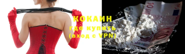 стаф Аркадак
