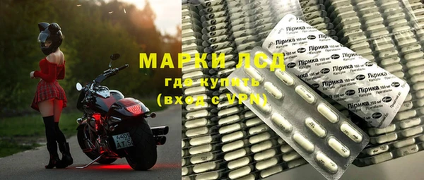 стаф Аркадак