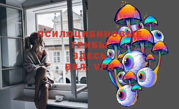 стаф Аркадак