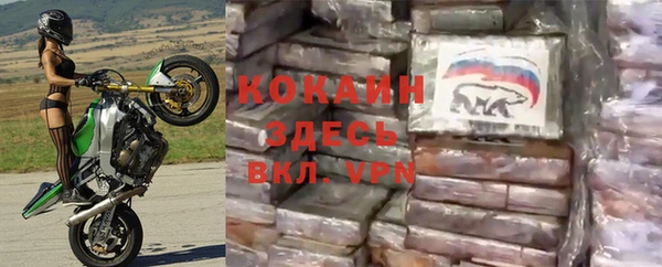 стаф Аркадак