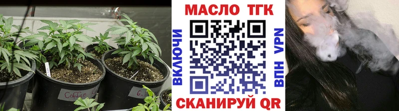 darknet как зайти  как найти закладки  Рудня  Дистиллят ТГК вейп с тгк 